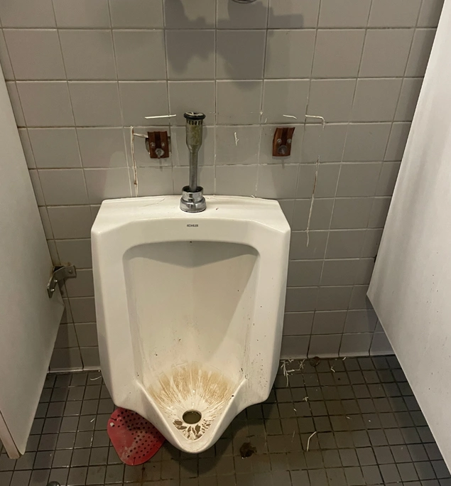 Common Toilet Problems