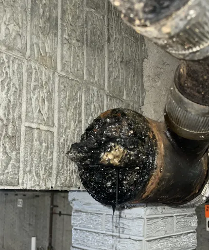 Sewer Line Services